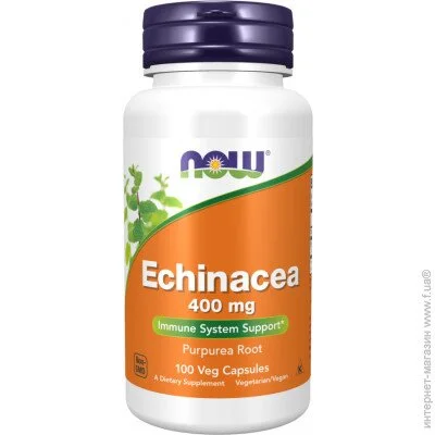     NOW Echinacea 400 mg, 100 