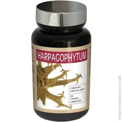   Nutriexpert HARPAGOPHYTUM 60 Caps (000018260)
