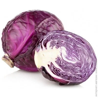 Ogorod     100 