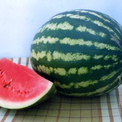Ogorod    10 