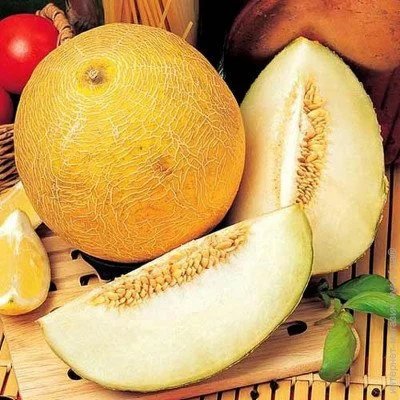 Ogorod     10 