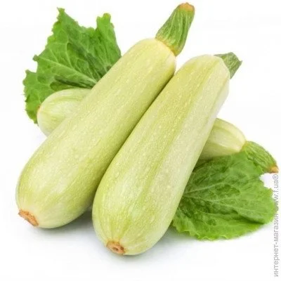 Ogorod    10 