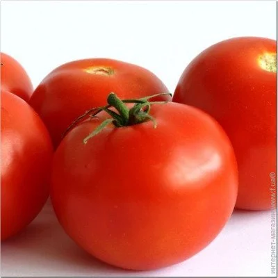 Ogorod    10 