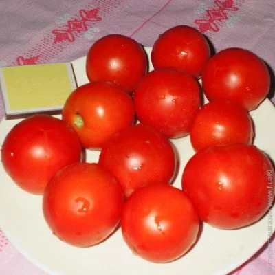 Ogorod    10 