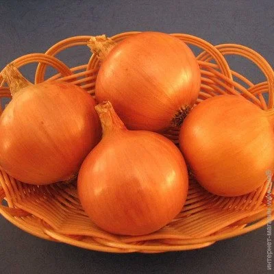 Ogorod    1  1 