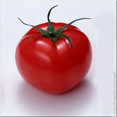 Ogorod    20 