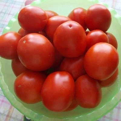 Ogorod     20 