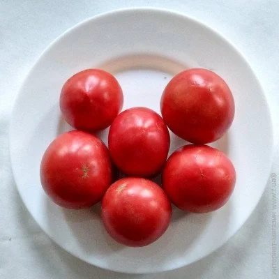 Ogorod     20 
