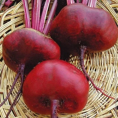 Ogorod     2  2 