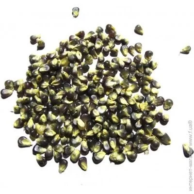 Ogorod     5 