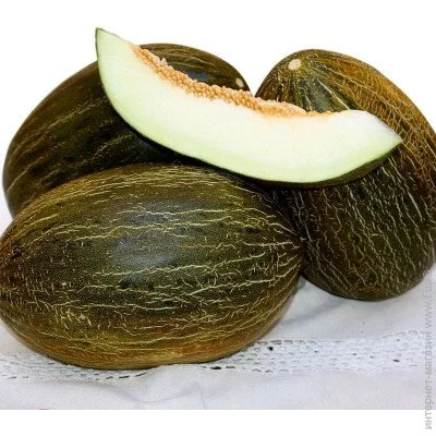 Ogorod      5 