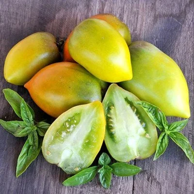 Ogorod   Chile Verde 10 