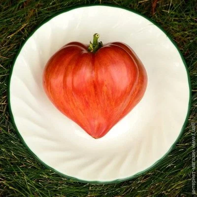 Ogorod   Crushed Heart () 10 