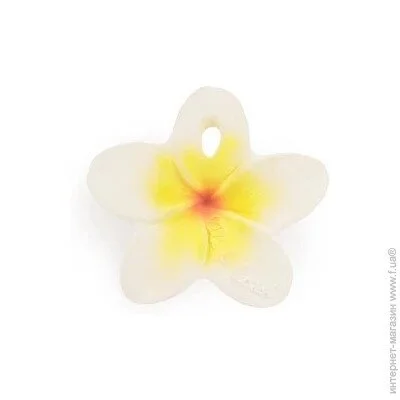 -  , Oli&Carol,  , . L-CHEWY-FLOWER (8437021201000)