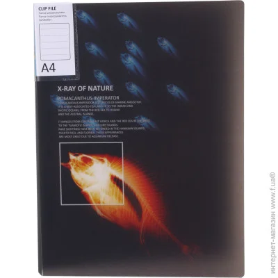 - A4 Optima   4    