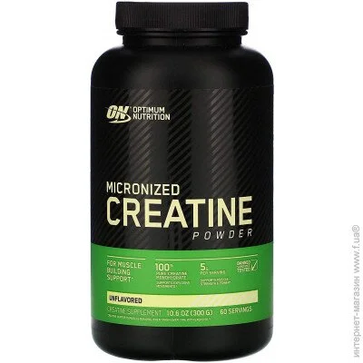 Optimum Nutrition  Micronized Creatine 300    (4384300833)