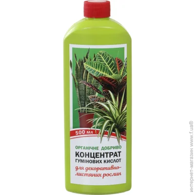 Organic Extra       -  500 