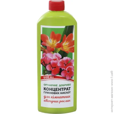 Organic Extra          500 