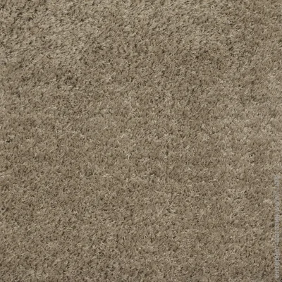  Oz Kaplan Karpet  Gold Shaggy  1 