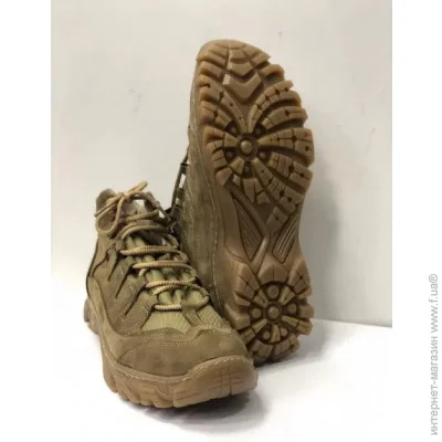  Pancer Protection    40