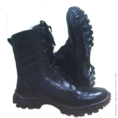  Pancer Protection  Evolution    (38)