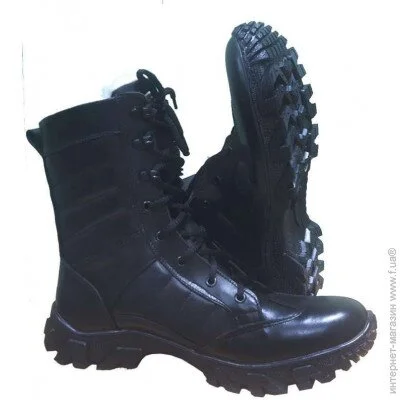 Pancer Protection  Evolution   (45)
