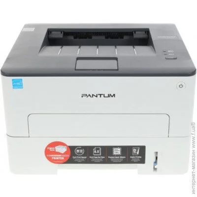  Pantum P3010D