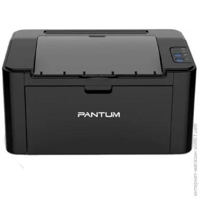  Pantum P2207