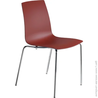 Papatya  X-Treme S   ,   (2649)