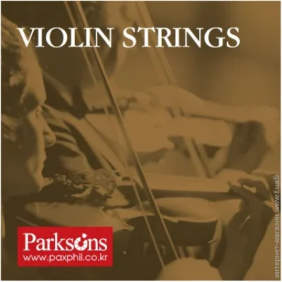     Parksons Violin Strings