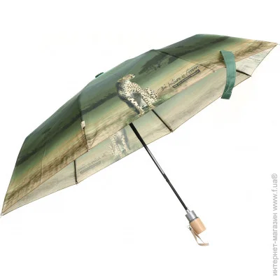  Perletti  Green Savannah 19133  ,  , 