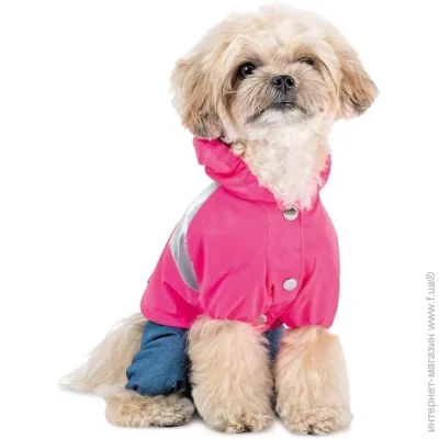 Pet Fashion  Betty XL    (4823082443710)