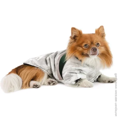 Pet Fashion    Bony , XS ,  PR244288 (4823082442881)