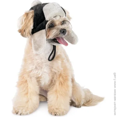 Pet Fashion  Bubo  ,  M  (4823082442423)
