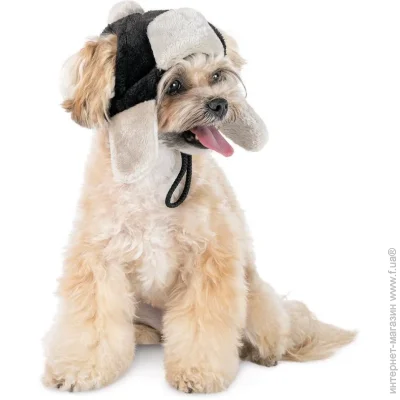 Pet Fashion  Bubo  ,  XS  (4823082442393)