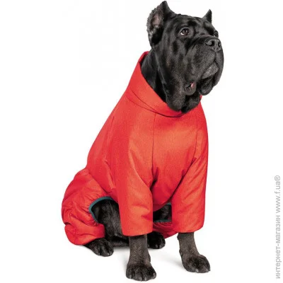  Pet Fashion COLD 6XL  (4823082426225)