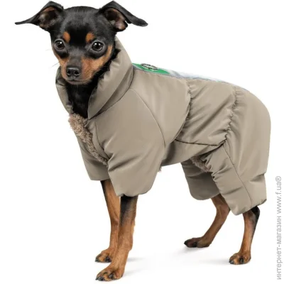Pet Fashion  EGO  (4823082431427)
