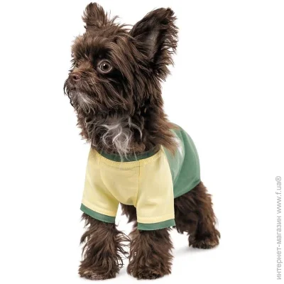 Pet Fashion  Endy XS2 (4823082434275)