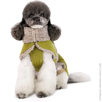 Pet Fashion    Gigi , L ,  PR244297 (4823082442973)