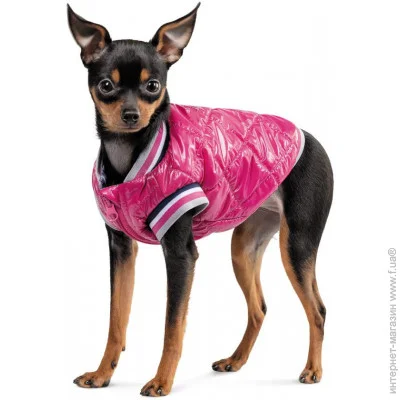  Pet Fashion Grace XS-2 (4823082430154)
