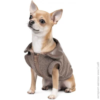  Pet Fashion Harry XS (4823082430093)