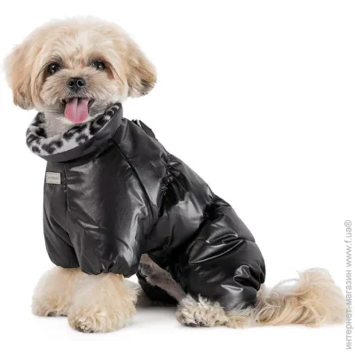  Pet Fashion    Indigo , XS  PR244281 (4823082442812)