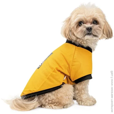 Pet Fashion  Jessica      S (4823082441259)