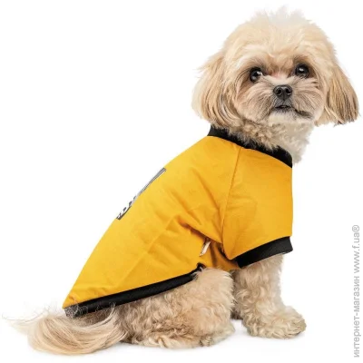 Pet Fashion  Jessica      XXS (4823082441303)