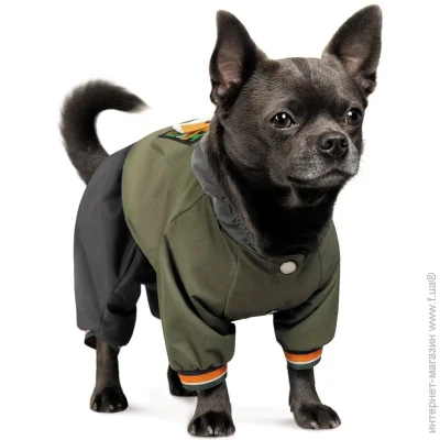 Pet Fashion  JIMI XS (4823082431502)