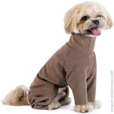 Pet Fashion  Mars XS2   (4823082443628)