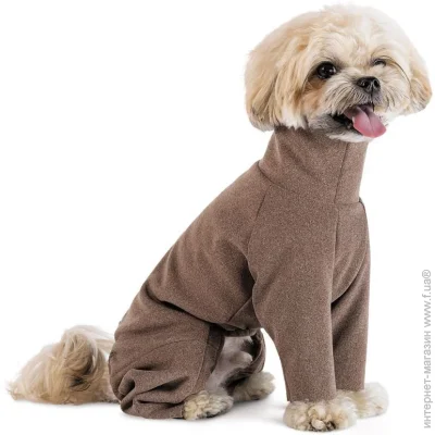 Pet Fashion  Mars XXS   (4823082443604)