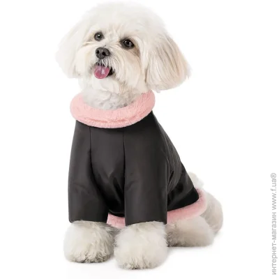 Pet Fashion  Mery   / XS (4823082443130)