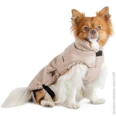 Pet Fashion  Mikki     (4823082443116)