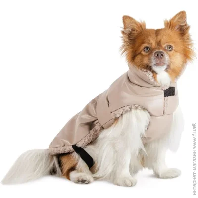Pet Fashion  Mikki    XS (4823082443086)
